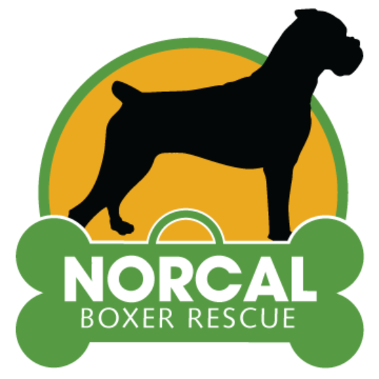 NORCAL BOXER RESCUE logo