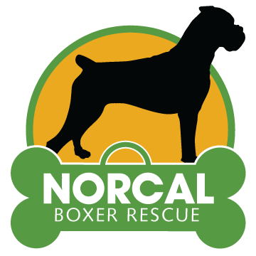 NORCAL BOXER RESCUE logo