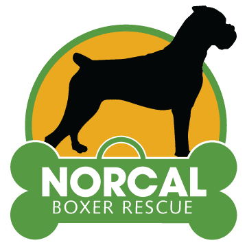 NORCAL BOXER RESCUE logo
